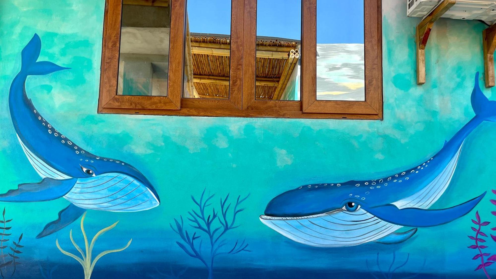 Shanti Surf Camp El Paredón Buena Vista Esterno foto